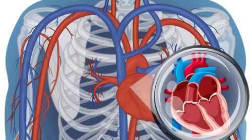 Durerea care poate anunța una dintre cele mai periculoase urgențe medicale. Ce este disecția aortică