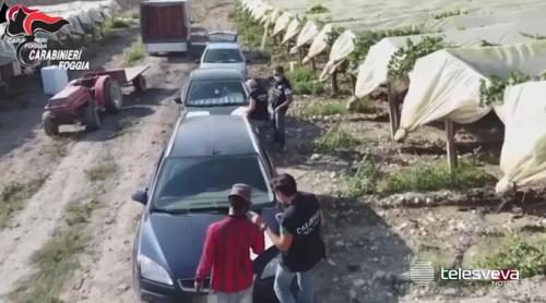 Patron român, anchetat în Italia după ce a adus peste 100 de români la muncă și i plătea cu maximum 3 euro pe oră