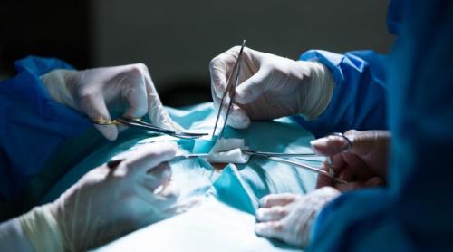 Transplant renal: cum ar putea fi identificați pacienții cu risc mai mic de respingere