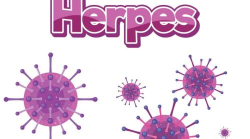Avertisment FDA: De ce pot fi periculoase remediile pentru herpes cumpărate de pe internet