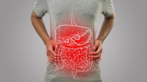 Bacteriile din intestin, legate de supraviețuirea bolnavilor de cancer și de reacțiile la chimioterapie