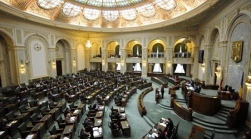Senatorii pun piedică amnistiei fiscale. Ce urmează
