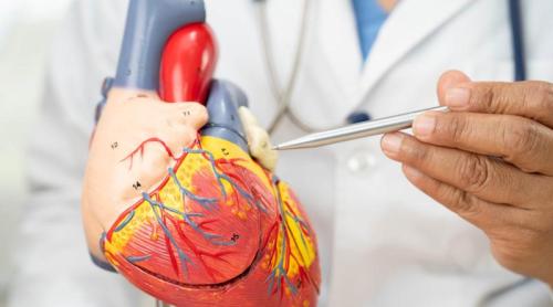 Tratamentul care poate prelungi viața pacienților cu fibrilație atrială. Ce impact au anticoagulantele