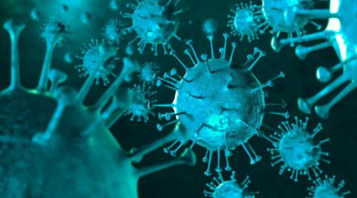 Un virus extrem de comun ar putea reprograma mecanismele de apărare imunitară ale creierului